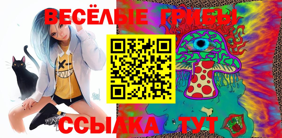 Псилоцибиновые грибы мухоморы Рубцовск